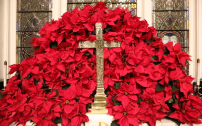 Parish News for Sunday, January 4, 2026